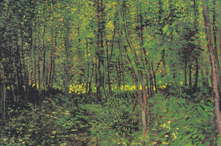 Schilderij van Van Gogh: Bos met kreupelhout