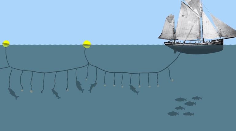 Illustratie van een vissersboot uit de film die hoort bij het erfgoedproject Vissers van Goeree-Overflakkee voor basisschoolleerlingen