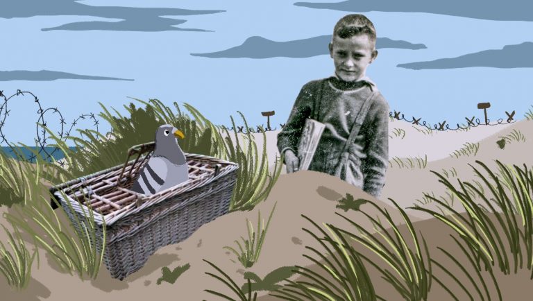 Illustratie van een jongen op het strand dat afgezet is met prikkeldraad uit de film die hoort bij het erfgoedproject Stiekem Seinen over Bunkercomplex De Punt voor basisschoolleerlingen van Goeree-Overflakkee