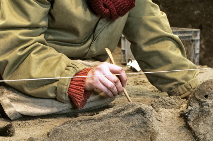 Archeoloog aan het werk met fijn gereedschap